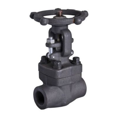 Forged Steel Gate Valves - Vylmech Engineering